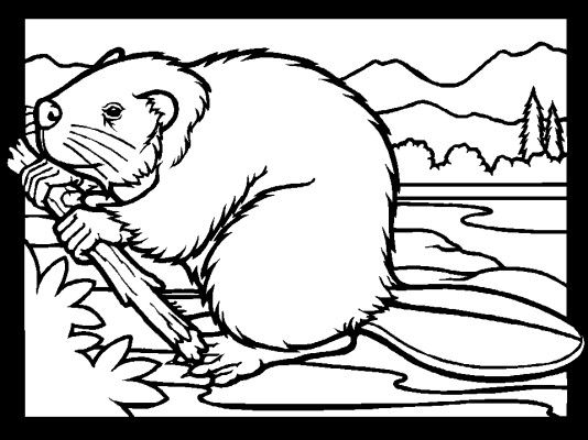 baby beaver coloring page